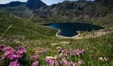 صورة منتج اندودرافا